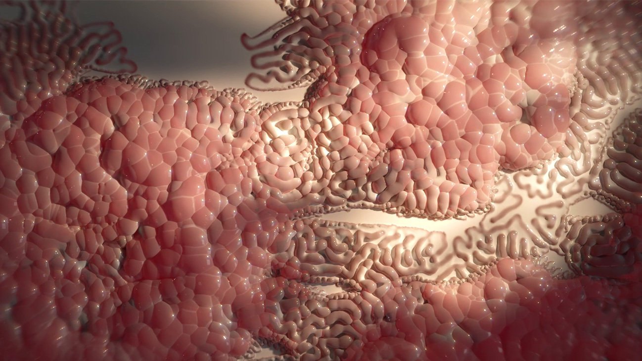Reaction Diffusion